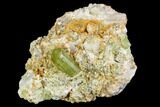 Lustrous, Apatite Crystals in Feldspar - Imilchil, Morocco #107891-1